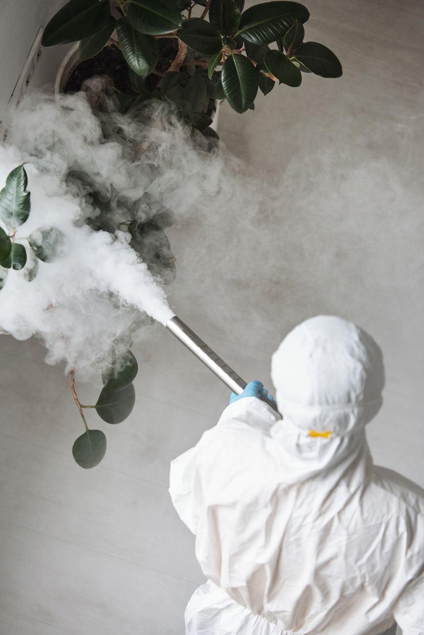 5 UK Tenant Rights That Save Your Budget On Pest Control